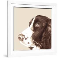 Springer Spaniel-Emily Burrowes-Framed Art Print