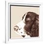 Springer Spaniel-Emily Burrowes-Framed Art Print