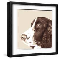 Springer Spaniel-Emily Burrowes-Framed Art Print