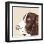 Springer Spaniel-Emily Burrowes-Framed Art Print