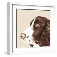 Springer Spaniel-Emily Burrowes-Framed Art Print