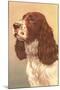 Springer Spaniel-null-Mounted Art Print