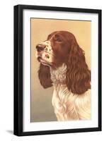 Springer Spaniel-null-Framed Art Print