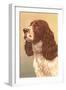 Springer Spaniel-null-Framed Art Print