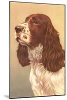 Springer Spaniel-null-Mounted Art Print