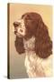 Springer Spaniel-null-Stretched Canvas