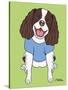 Springer Spaniel-Tomoyo Pitcher-Stretched Canvas