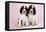 Springer Spaniels Puppies (Approx 10 Weeks Old) Sitting-null-Framed Stretched Canvas