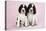 Springer Spaniels Puppies (Approx 10 Weeks Old) Sitting-null-Stretched Canvas