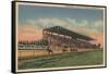 Springfield, IL - State Fair Grounds Horse Racing-Lantern Press-Framed Stretched Canvas