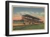 Springfield, IL - State Fair Grounds Horse Racing-Lantern Press-Framed Art Print