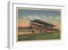 Springfield, IL - State Fair Grounds Horse Racing-Lantern Press-Framed Art Print