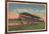 Springfield, IL - State Fair Grounds Horse Racing-Lantern Press-Framed Art Print