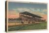 Springfield, IL - State Fair Grounds Horse Racing-Lantern Press-Stretched Canvas