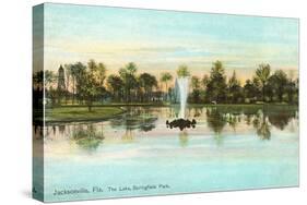 Springfield Park, Jacksonville, Florida-null-Stretched Canvas