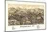 Springfield, Vermont - Panoramic Map-Lantern Press-Mounted Art Print