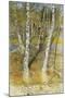 Springflood, 1902-Carl Larsson-Mounted Giclee Print