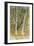 Springflood, 1902-Carl Larsson-Framed Giclee Print