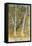 Springflood, 1902-Carl Larsson-Framed Stretched Canvas