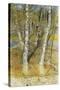 Springflood, 1902-Carl Larsson-Stretched Canvas
