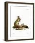 Springhare-null-Framed Giclee Print