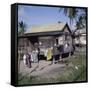 Springlands (Skeldon), Berbice, Guyana-null-Framed Stretched Canvas