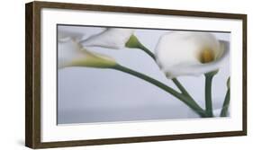 Springplicity I-Cinzia Ryan-Framed Giclee Print