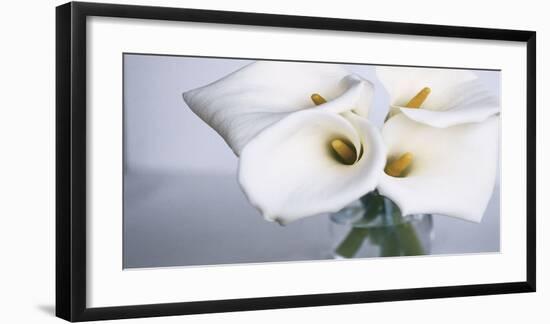 Springplicity II-Cinzia Ryan-Framed Giclee Print