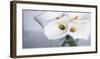 Springplicity II-Cinzia Ryan-Framed Giclee Print