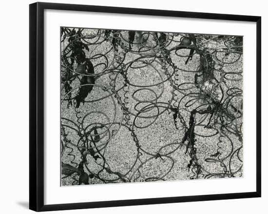 Springs and Snow, 1977-Brett Weston-Framed Photographic Print