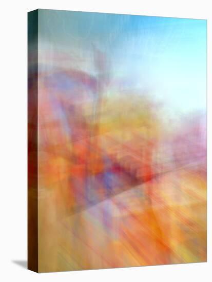 Springs Riot-Doug Chinnery-Stretched Canvas