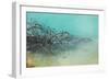 Springs Tree Detail, Yellowstone National Park, Wyoming-Vincent James-Framed Photographic Print