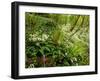 Springs Wood, Yorkshire Dales National Park, England-Paul Harris-Framed Photographic Print