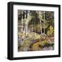 Springtide-Robert Moore-Framed Art Print