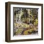 Springtide-Robert Moore-Framed Giclee Print