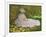 Springtime, 1872-Claude Monet-Framed Giclee Print