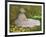 Springtime, 1872-Claude Monet-Framed Giclee Print