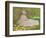 Springtime, 1872-Claude Monet-Framed Giclee Print