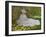 Springtime, 1872-Claude Monet-Framed Giclee Print