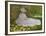 Springtime, 1872-Claude Monet-Framed Giclee Print