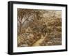 Springtime, 1883-Helen Allingham-Framed Giclee Print