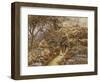 Springtime, 1883-Helen Allingham-Framed Giclee Print