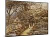 Springtime, 1883-Helen Allingham-Mounted Giclee Print