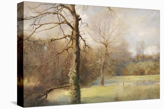 Springtime, 1890-1908-John William North-Stretched Canvas