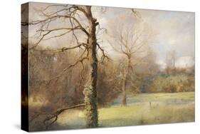 Springtime, 1890-1908-John William North-Stretched Canvas