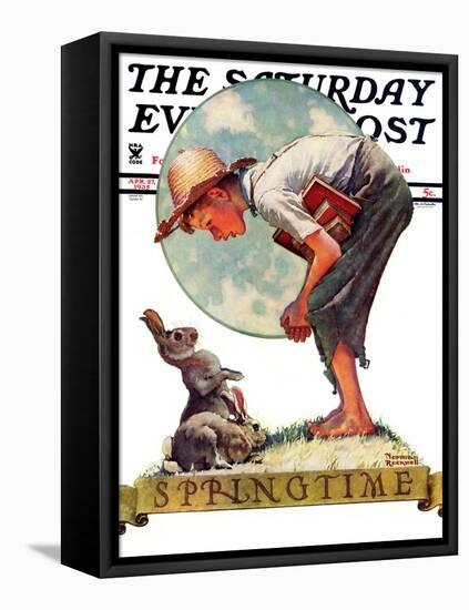 "Springtime, 1935 boy with bunny" Saturday Evening Post Cover, April 27,1935-Norman Rockwell-Framed Stretched Canvas