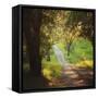 Springtime Afternoon-Lance Kuehne-Framed Stretched Canvas