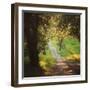 Springtime Afternoon-Lance Kuehne-Framed Photographic Print