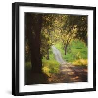 Springtime Afternoon-Lance Kuehne-Framed Photographic Print