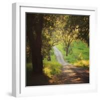 Springtime Afternoon-Lance Kuehne-Framed Photographic Print